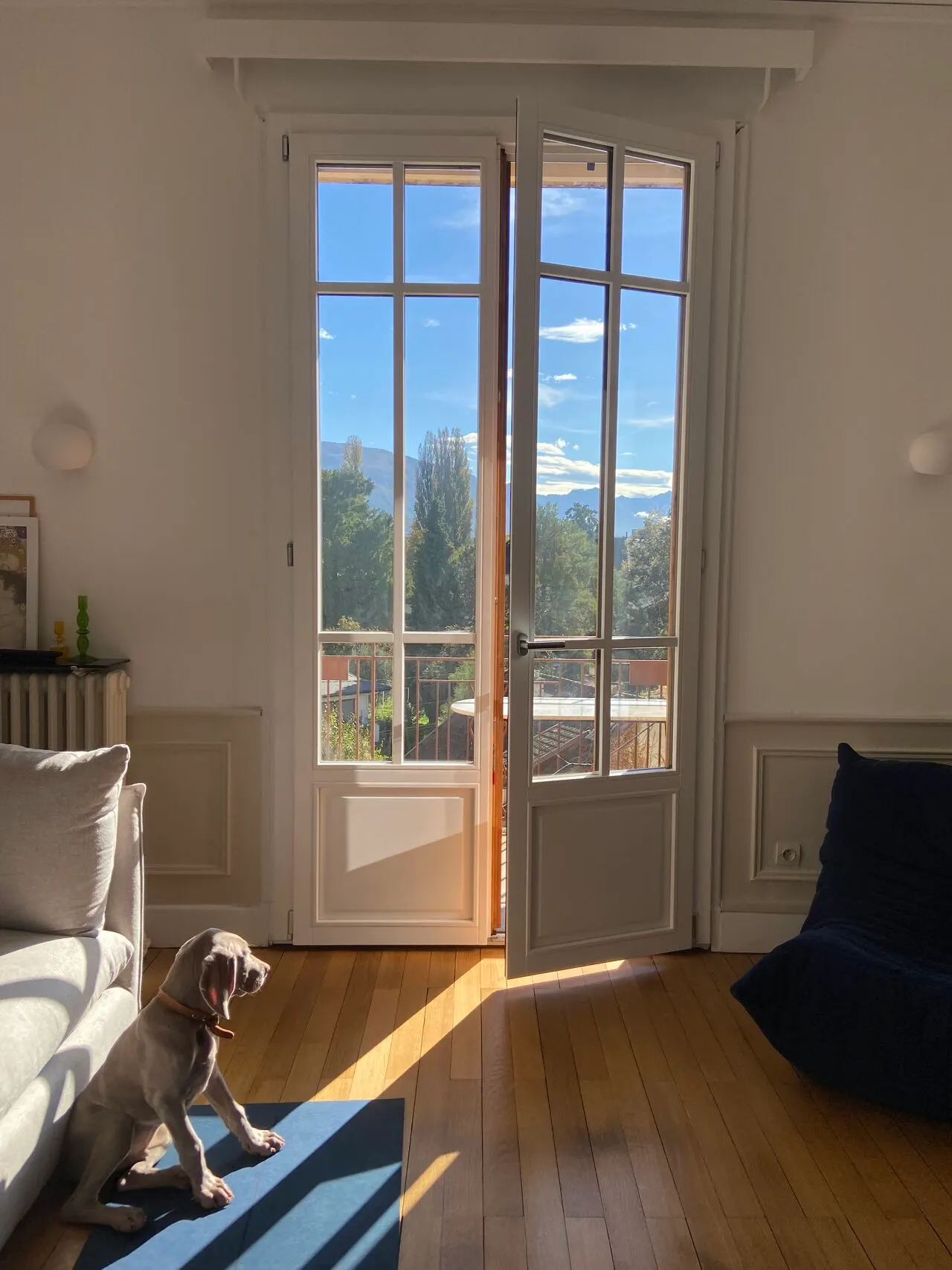 Porte-fenêtre double à petits bois dans un salon parqueté, vue sur les arbres.